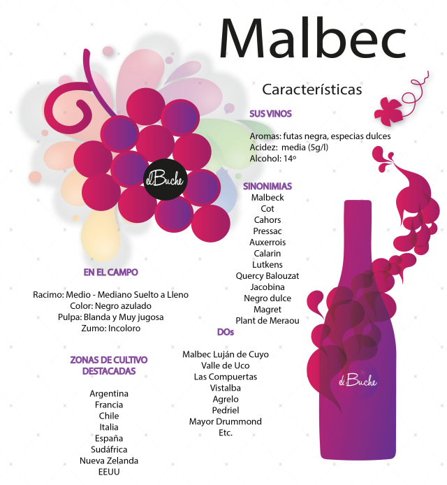 Malbec Características-08